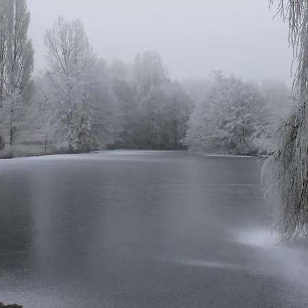 La Hangottiere - Lumineux, Nature Et Etang Parennes