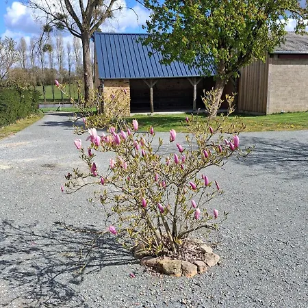 Holiday home La Hangottiere - Lumineux, Nature Et Etang Parennes